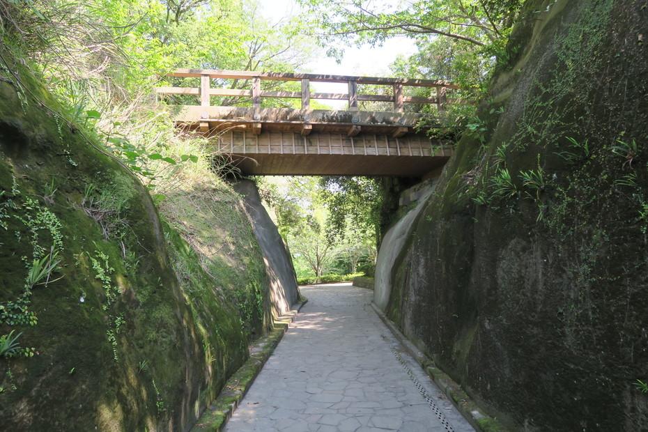 東福寺城