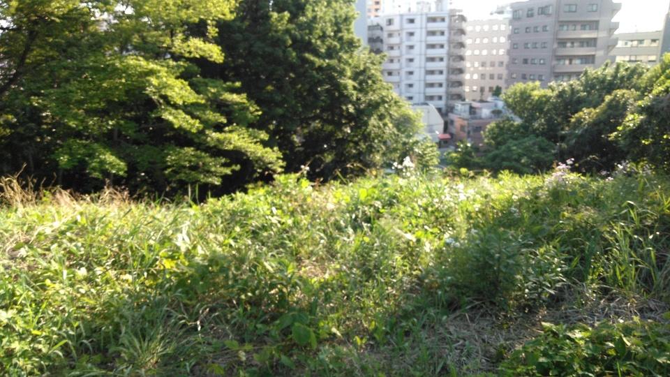 目黒氏館