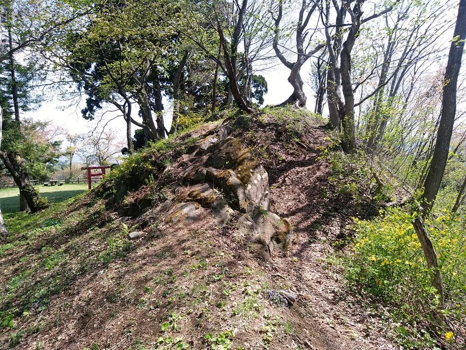 田頭城