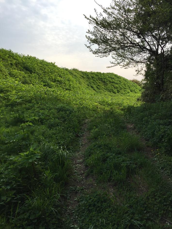 山根館