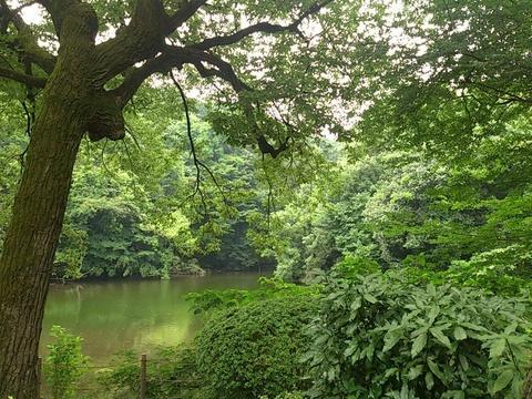 井伊氏屋敷