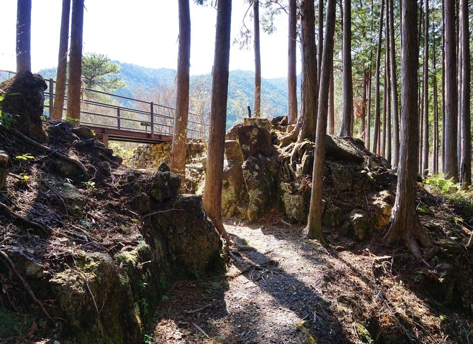 曽根城