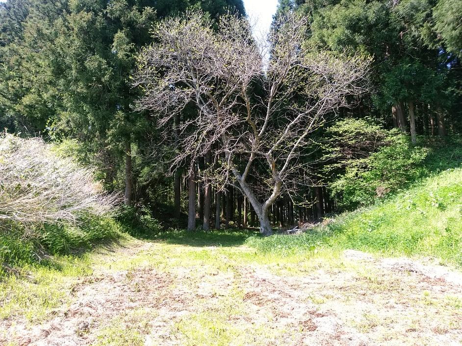 上折壁城