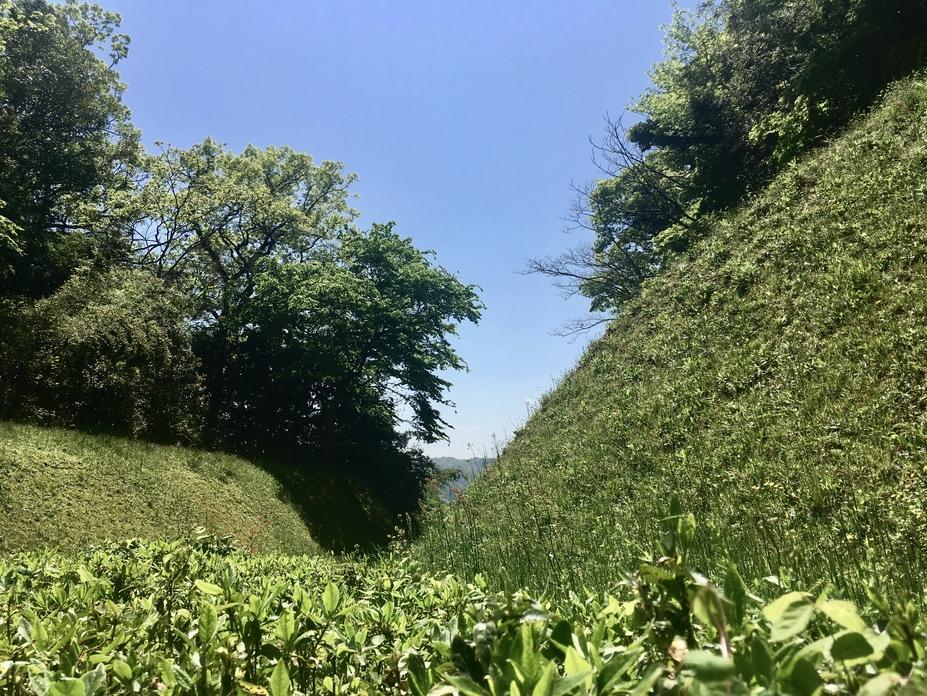 防己尾城