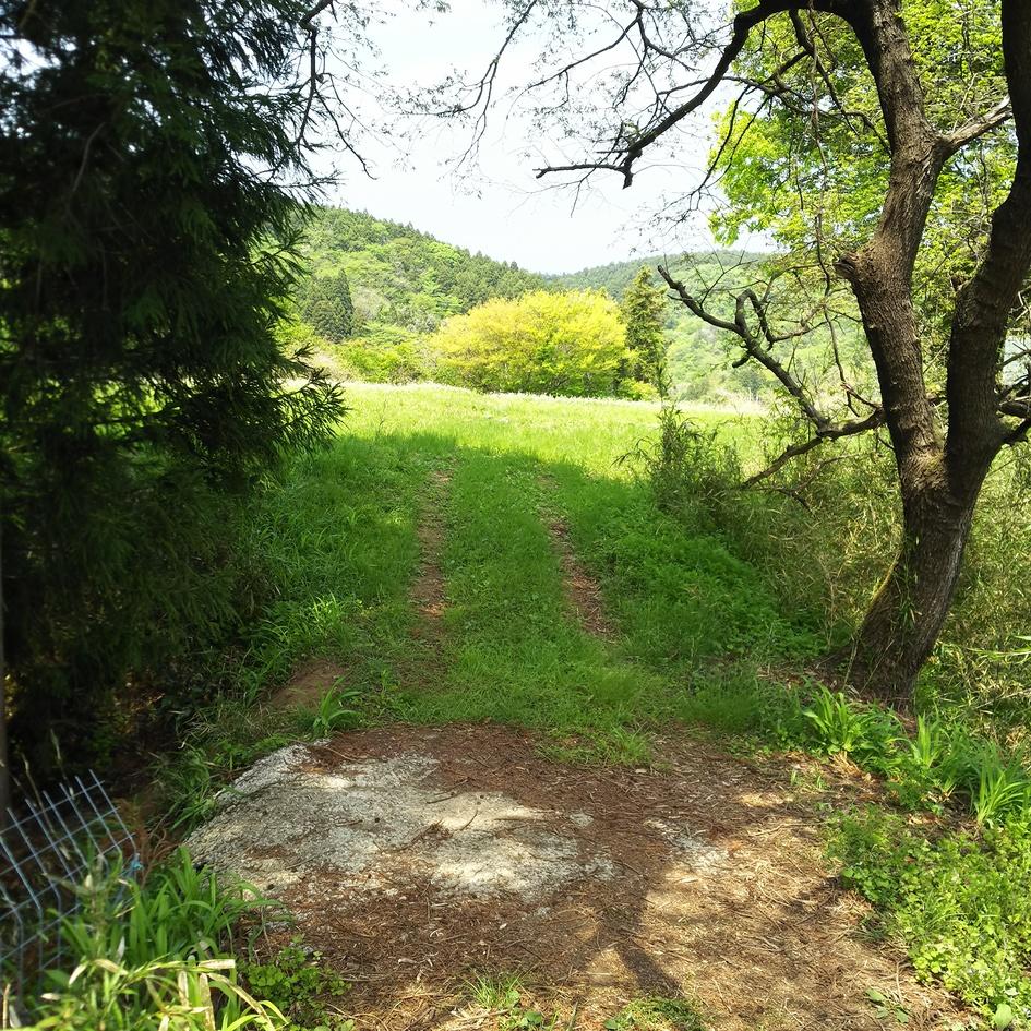 根添城