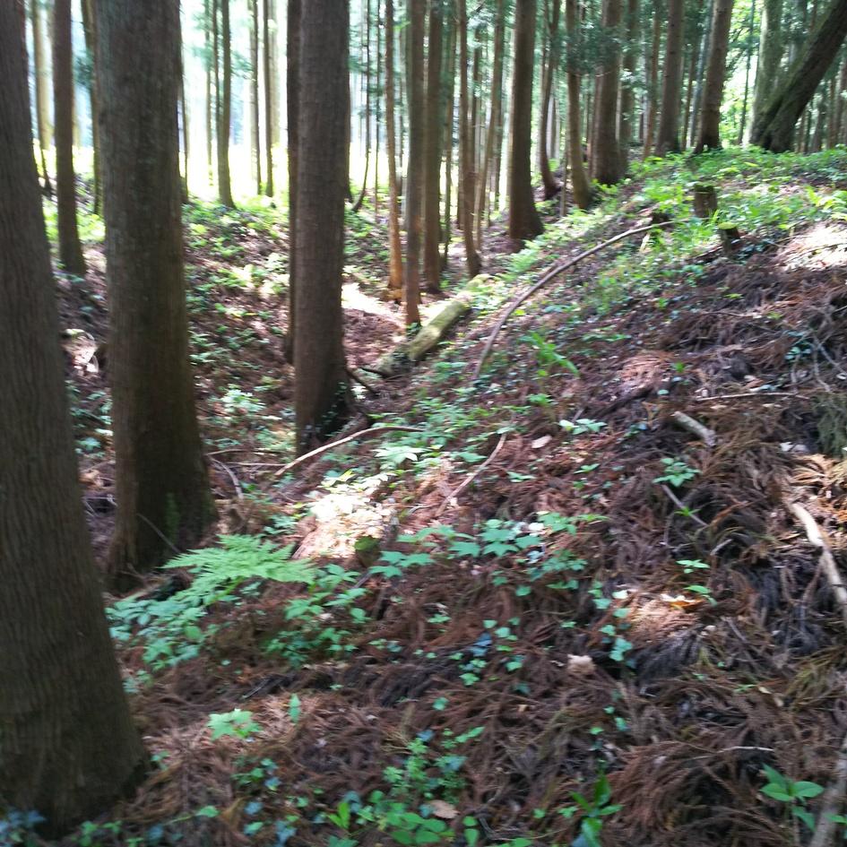 前川本城