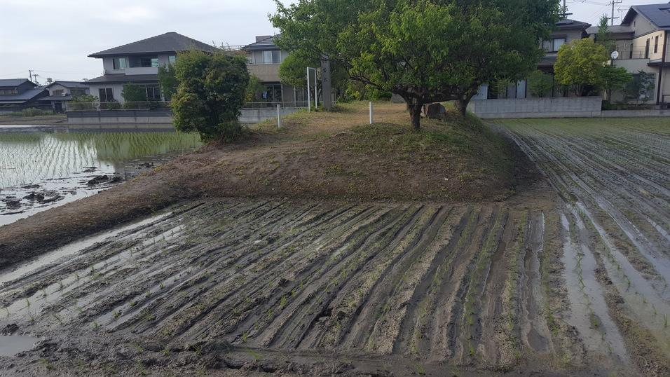 向城