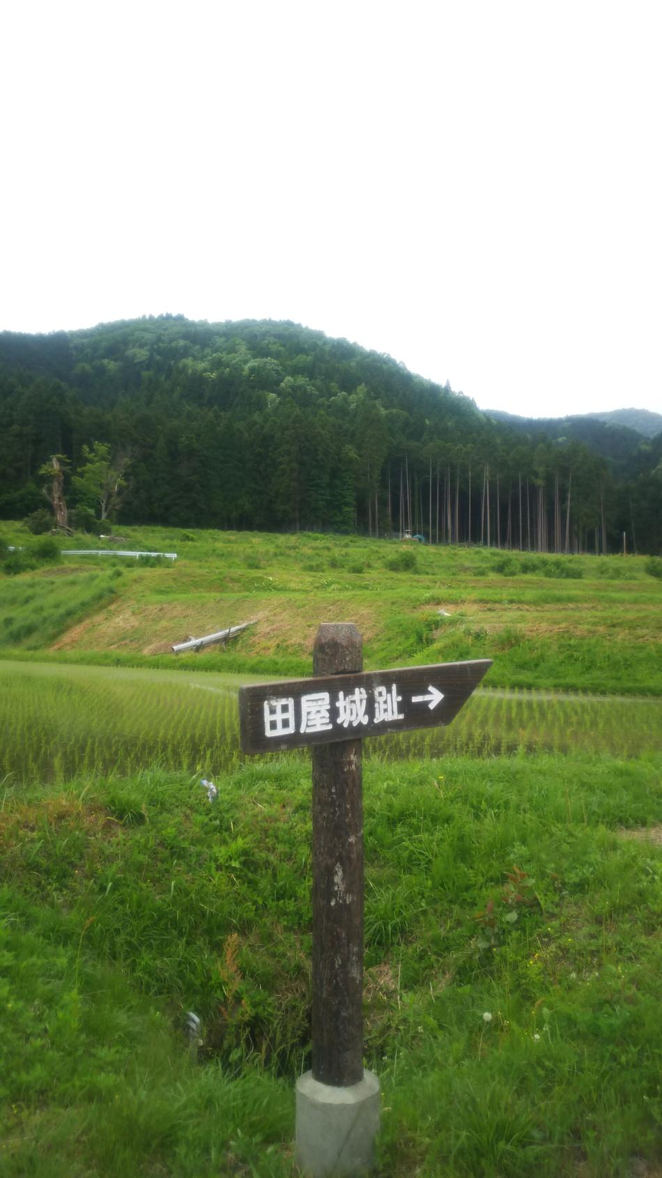 田屋城