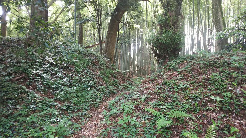 神宮寺城