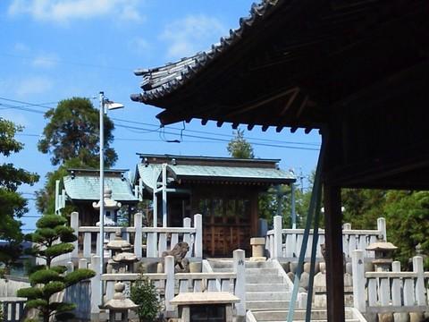 田代城