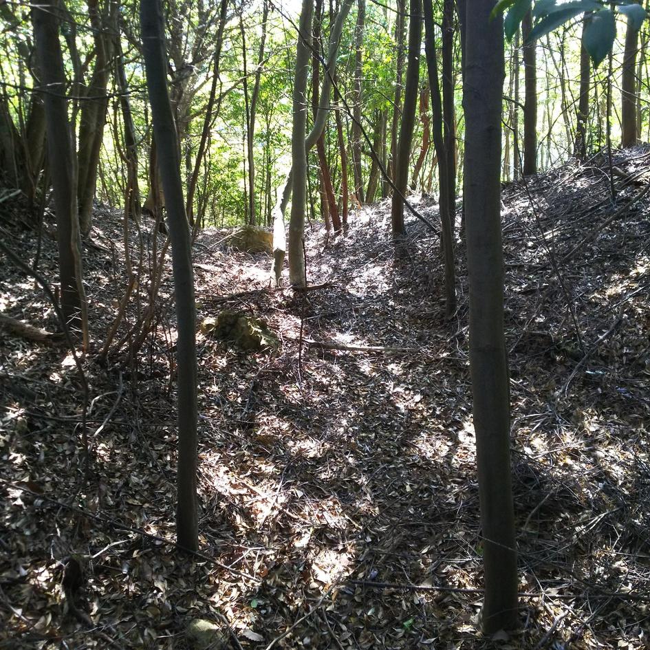 鴾ヶ堂城