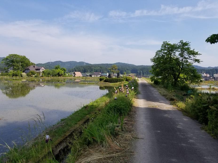 安養寺城