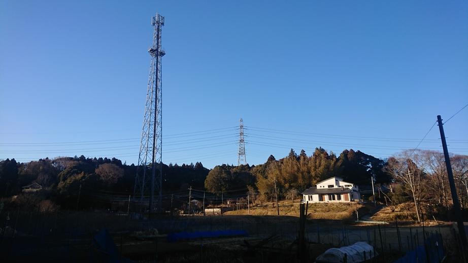 城城