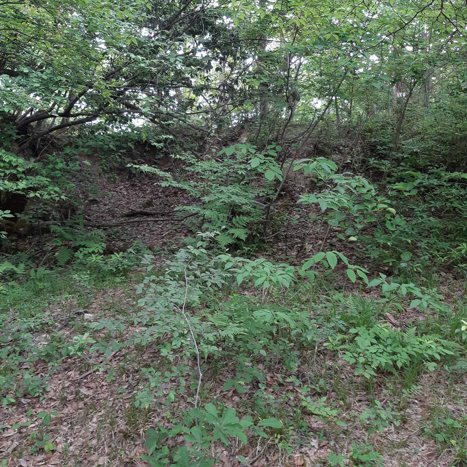 建部山城