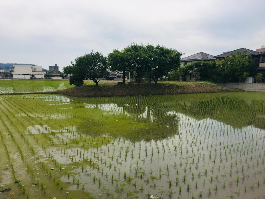 向城