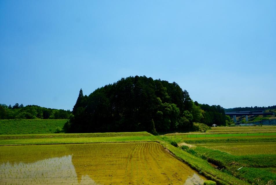 甲賀郡中惣城館