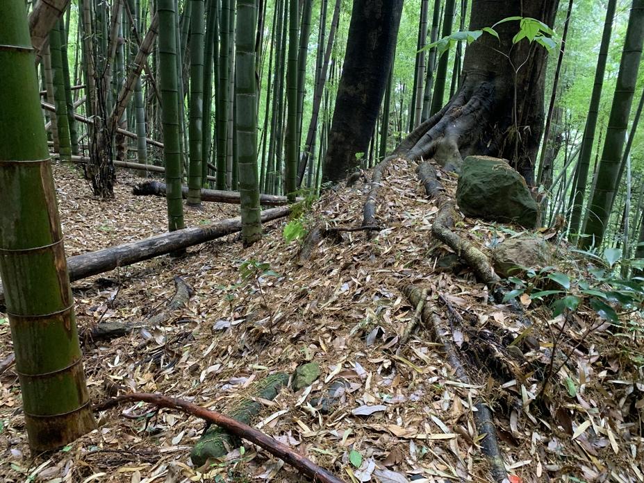 玉造要害山城