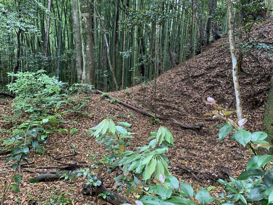 玉造要害山城