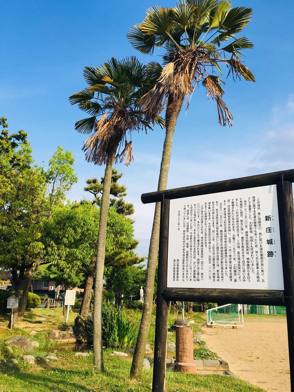 新庄城