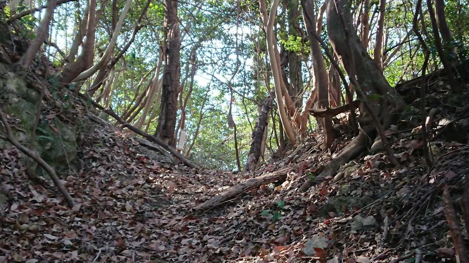 中道子山城