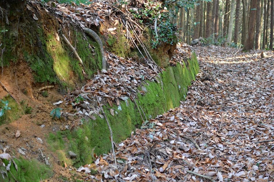 おつぼ山神籠石