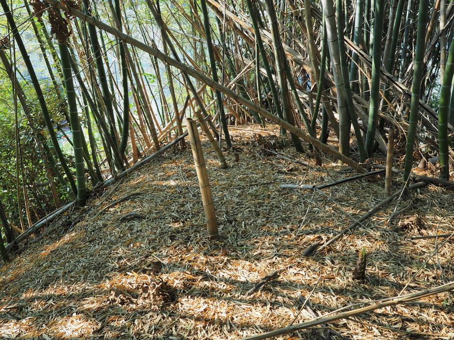高屋城