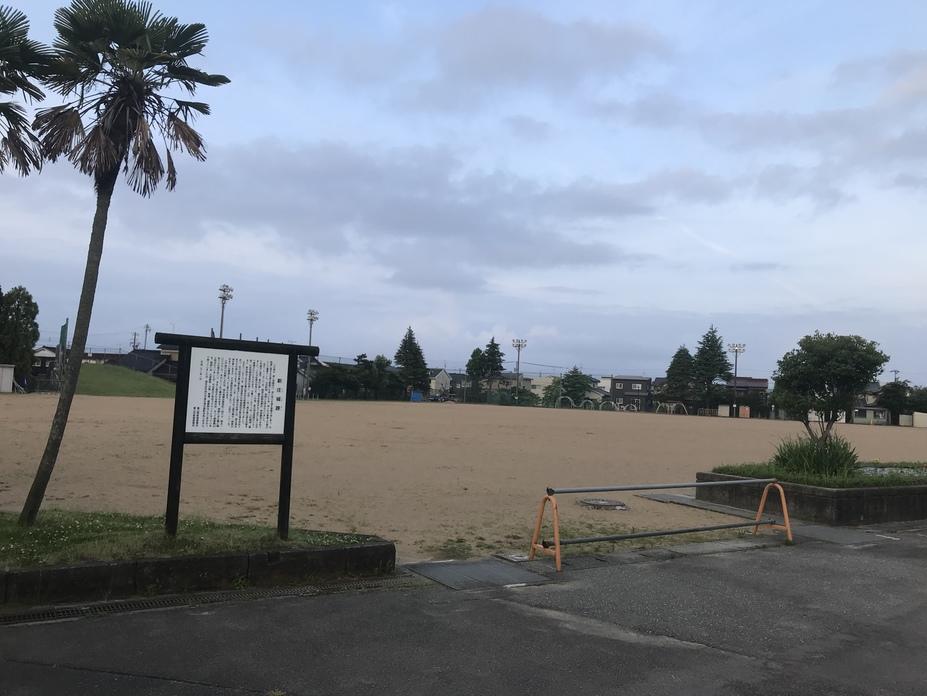 新庄城