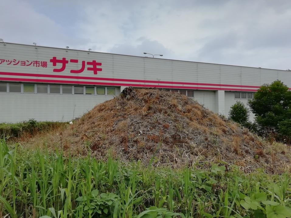 山口城