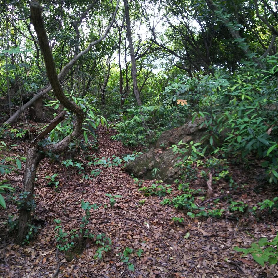 引田城