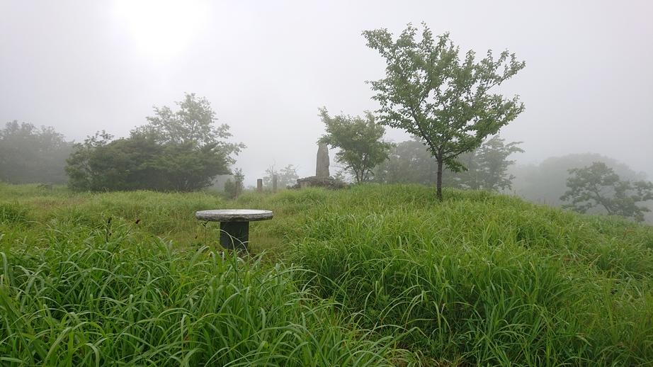 鷹巣城