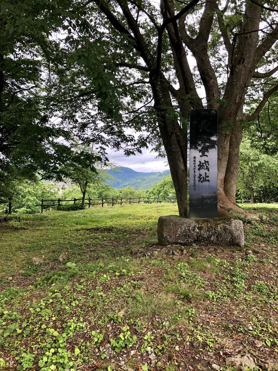 長谷堂城