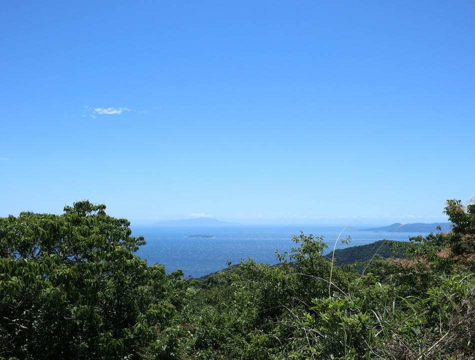 土肥城