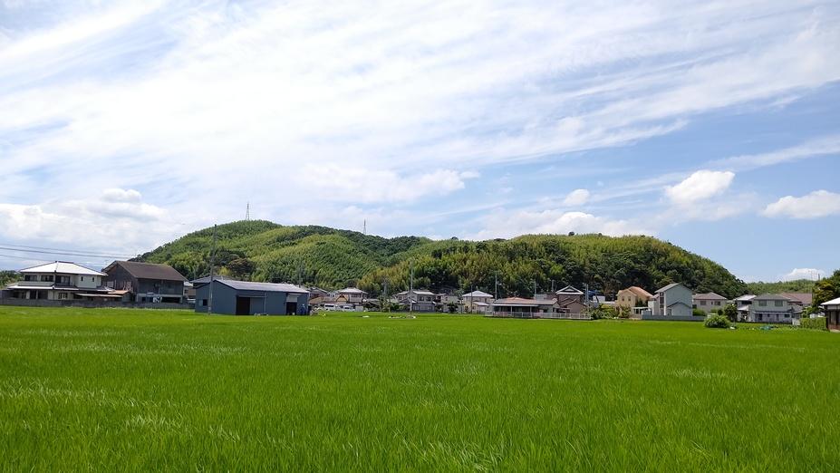 立江城