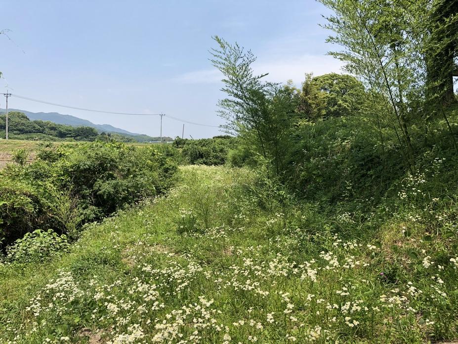 堤土塁
