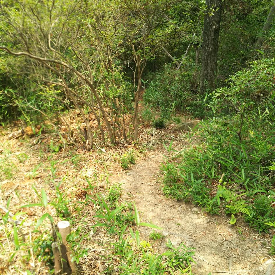福山城
