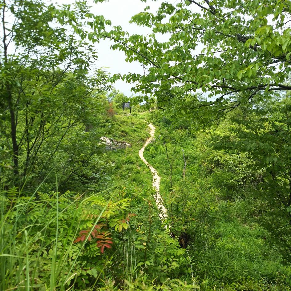 福山城