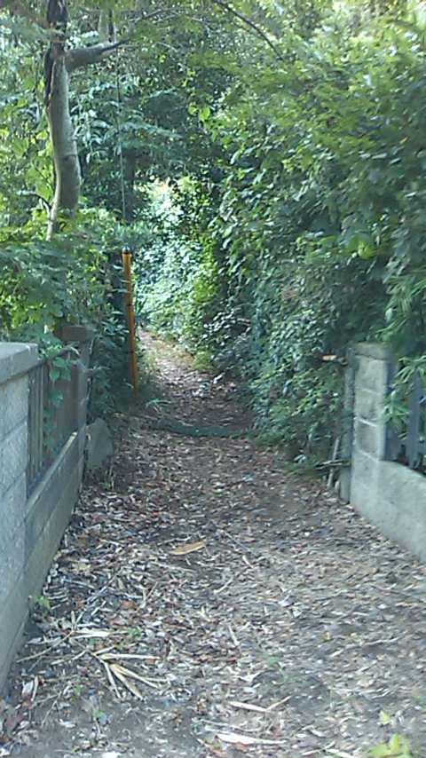 長沼城