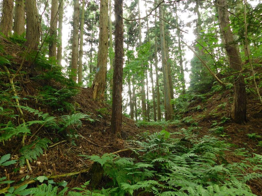 小山城