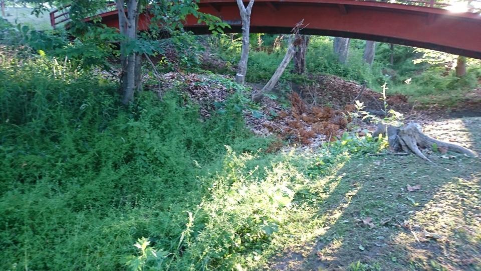 館山チャシ