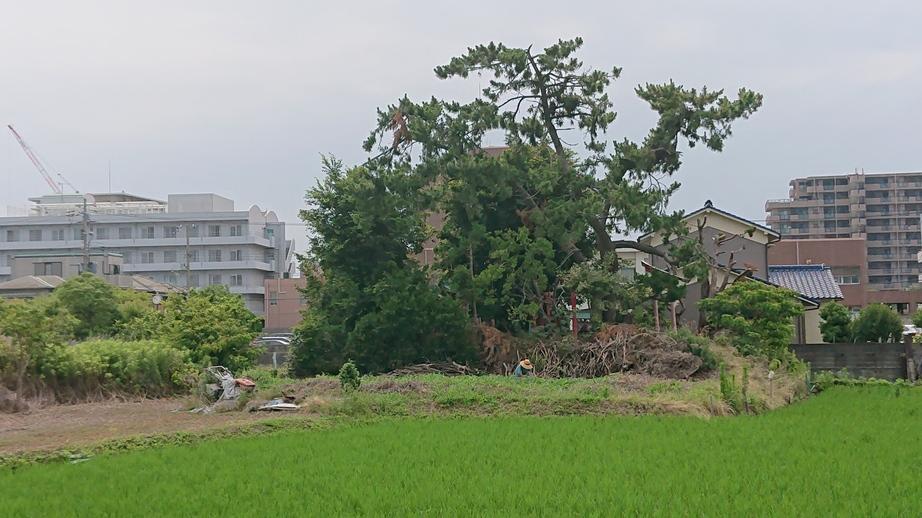 船上城