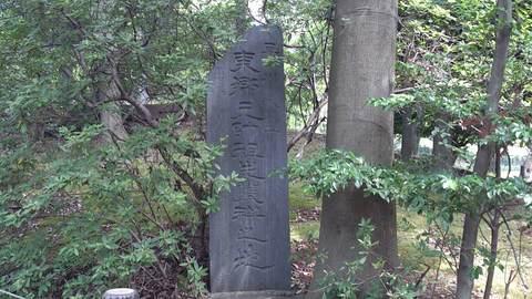 早川城
