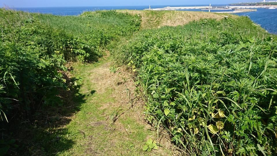 根室半島チャシ