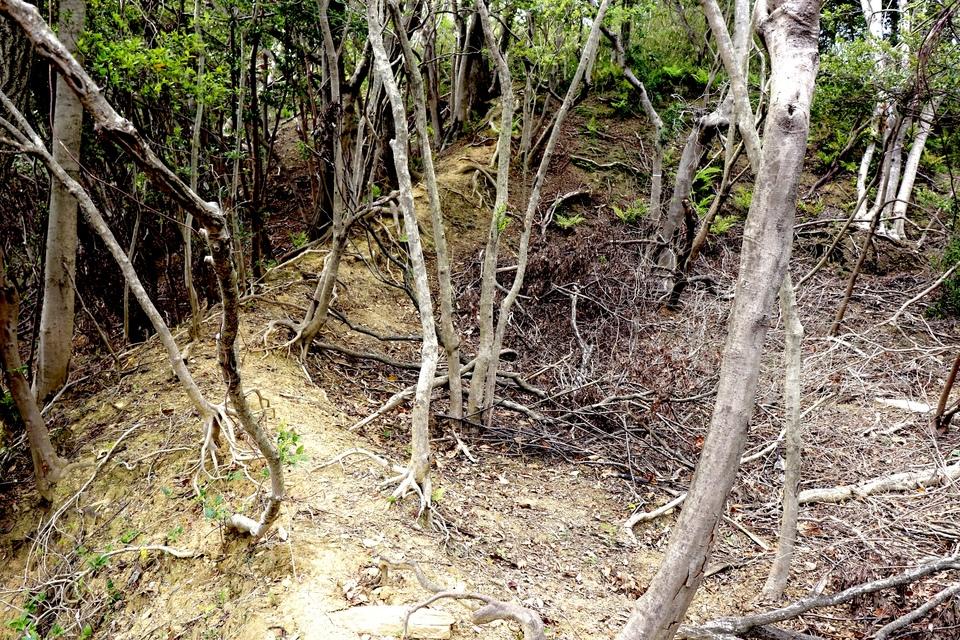 和佐山城