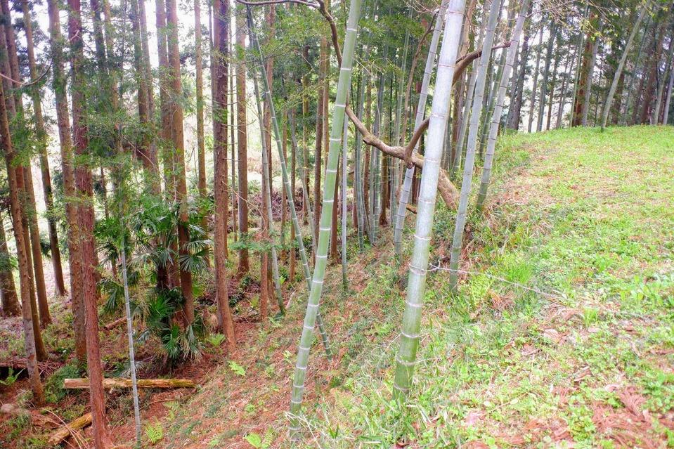 八丁目城