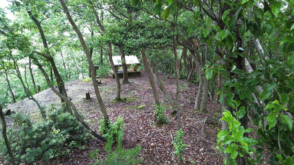 山名氏城館