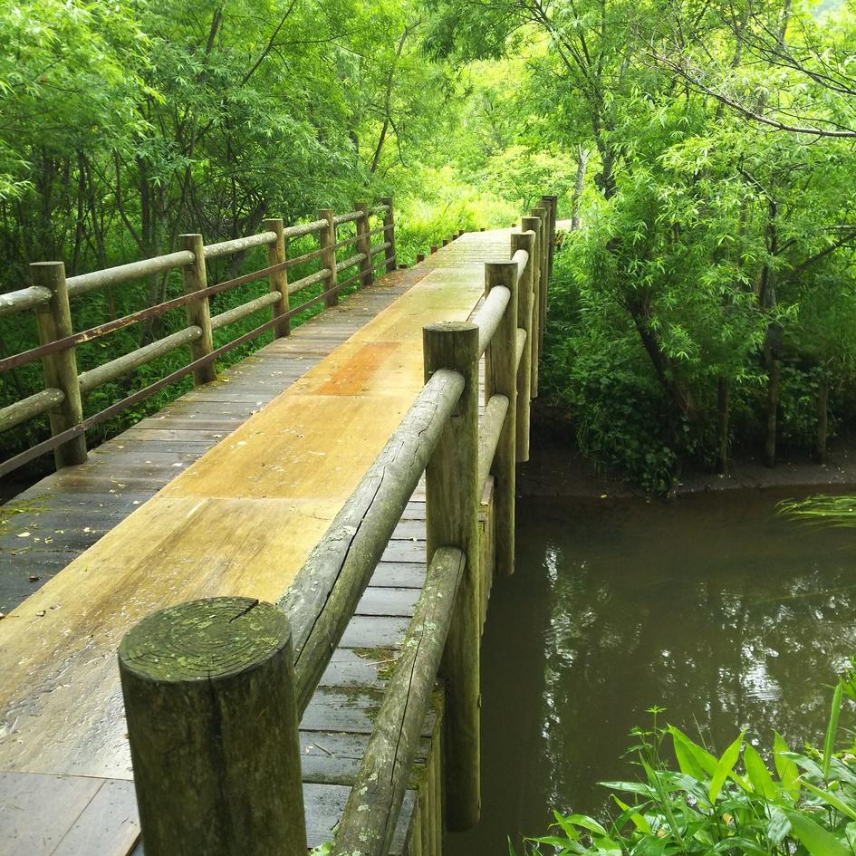 カリカリウスチャシ