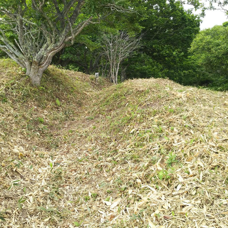 釧路川流域チャシ