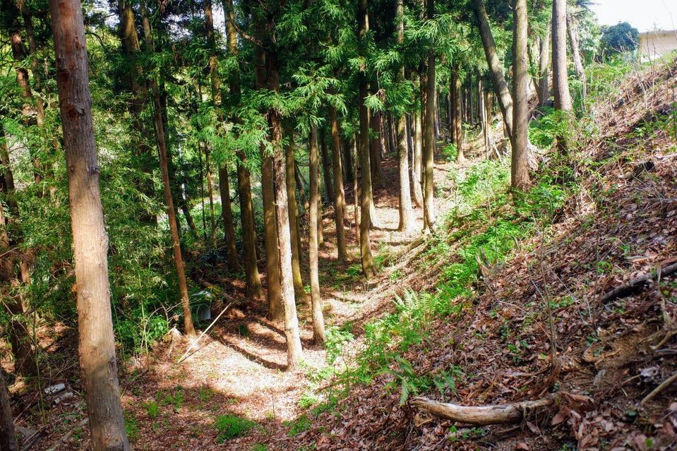 田地ケ岡館