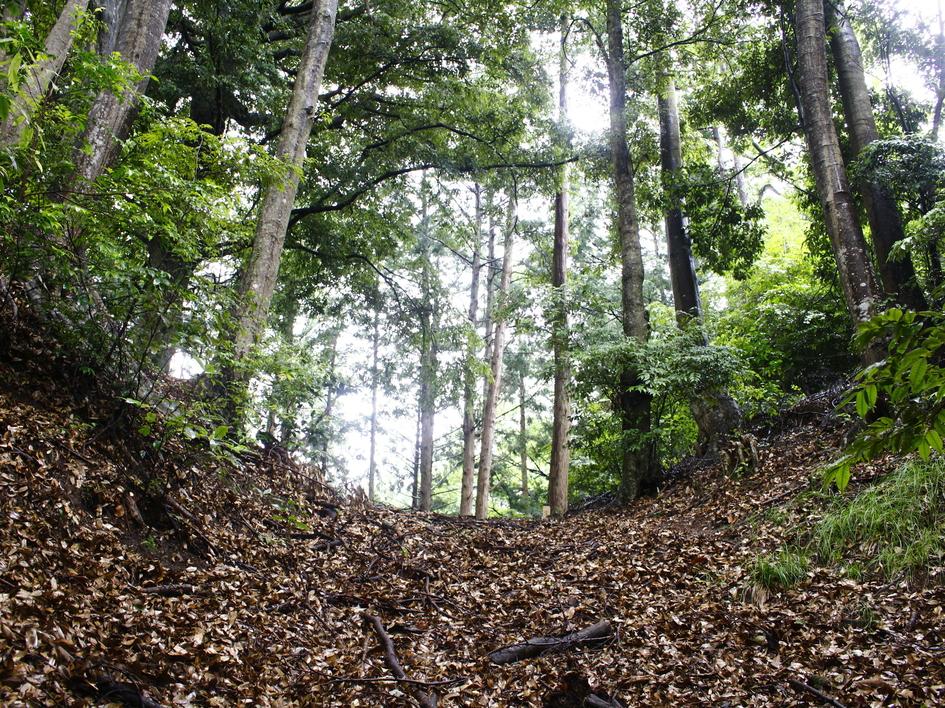 狩野城