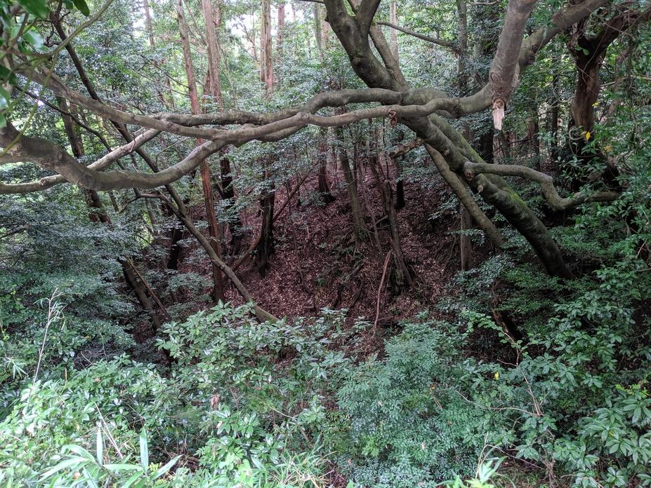 上木城